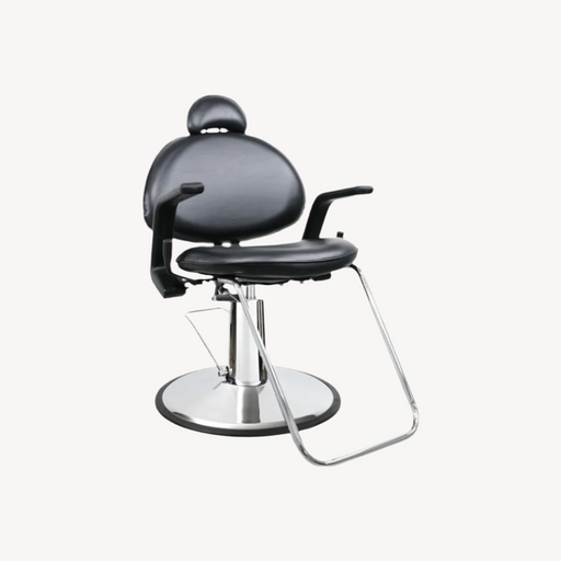ARISTO All Purpose Chair
