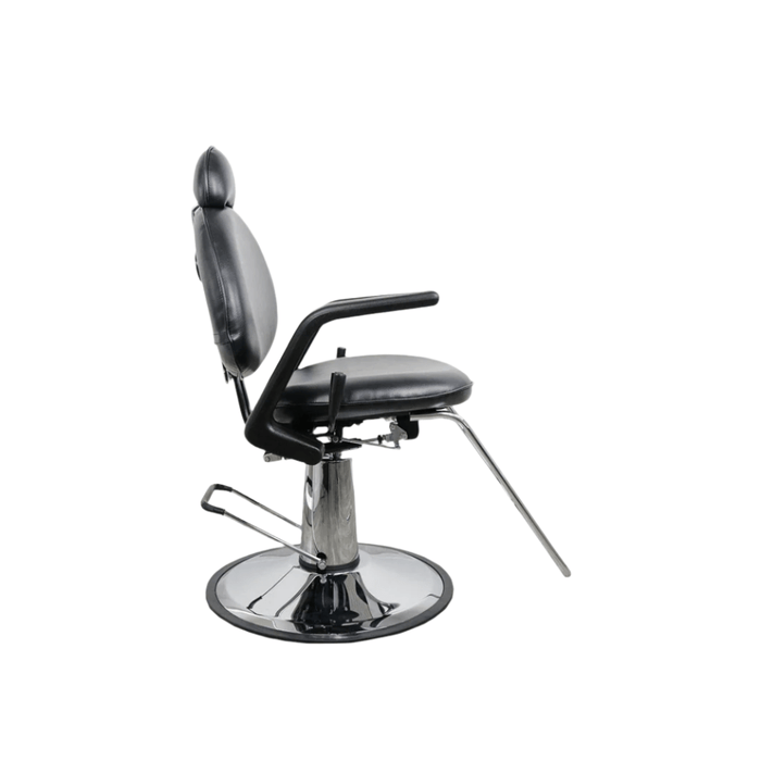 ARISTO All Purpose Chair