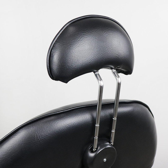 ARISTO All Purpose Chair