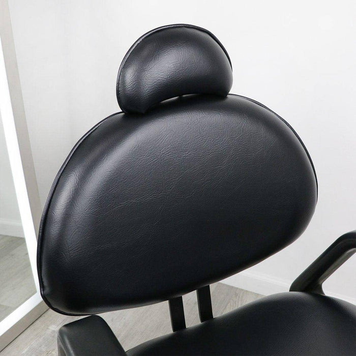 ARISTO All Purpose Chair