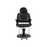 EVERLAST All Purpose Chair
