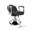 SUPERIOR All Purpose Chair
